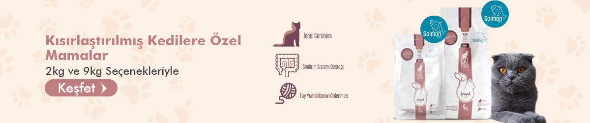 friend-pet-banner-1200×250 friend-pet-banner-1200x250
